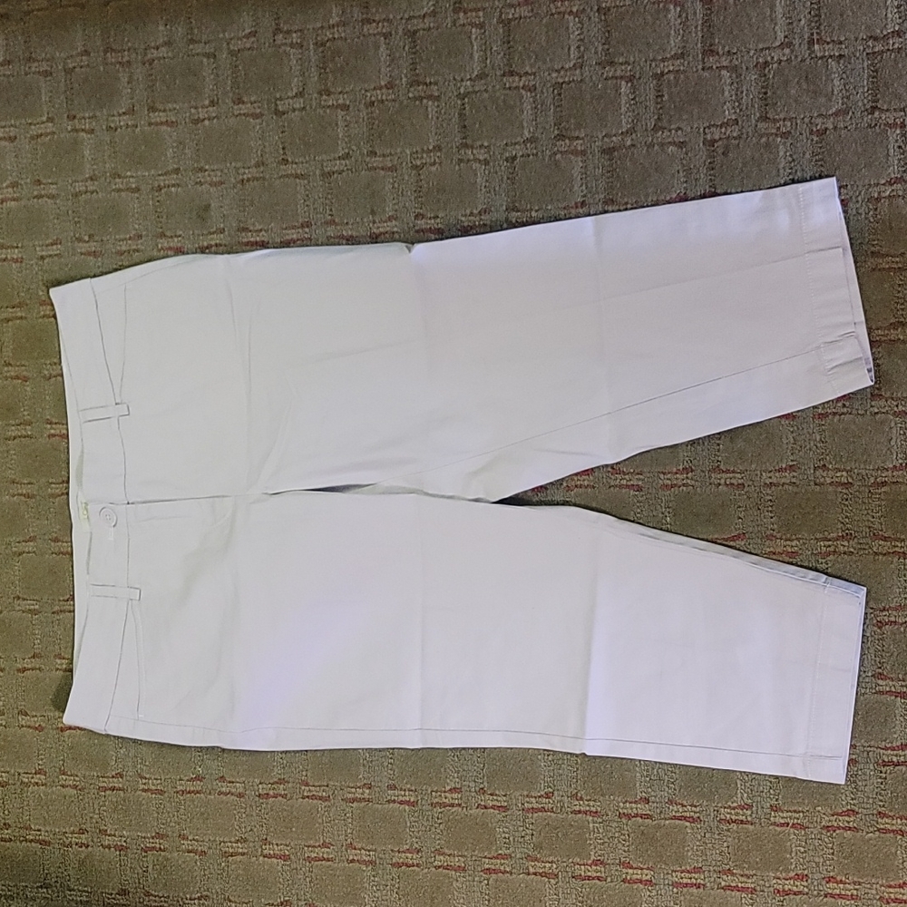 Women's Loft pants size 12p